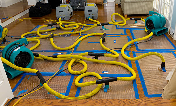 Professional Basement Flood Cleanup technician working in Van Voorhis, PA